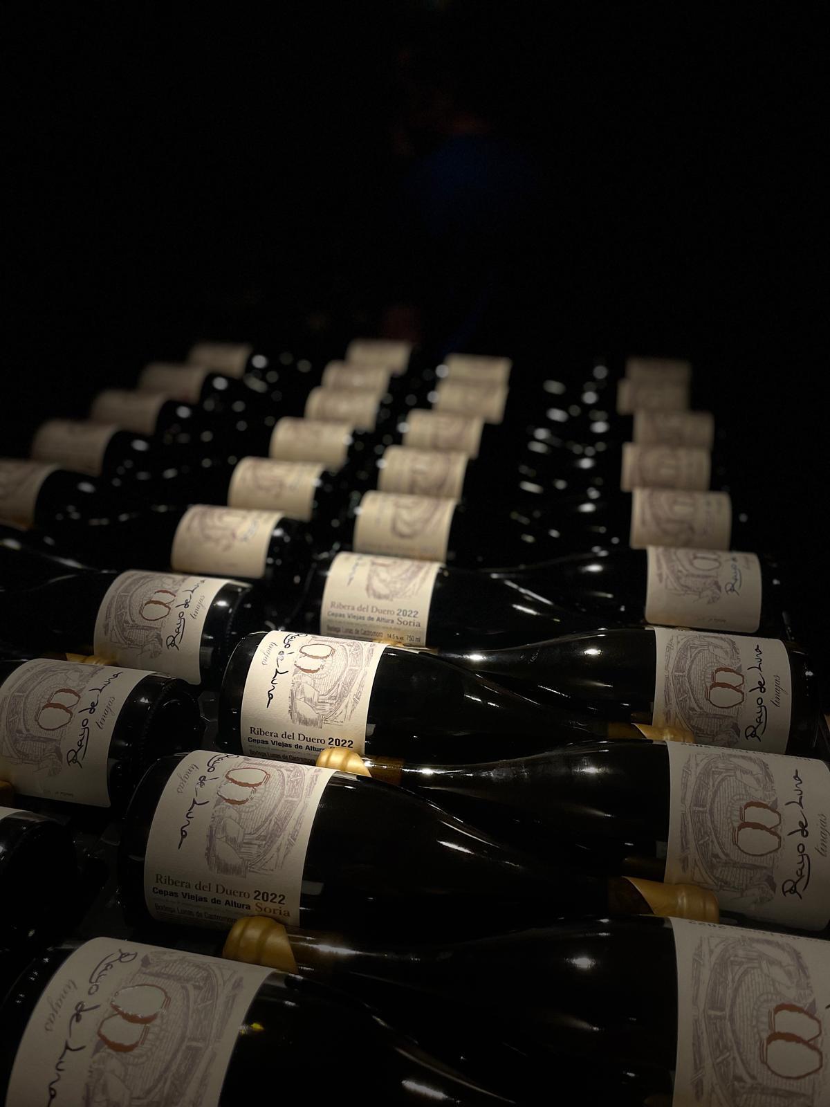 Vinos en fondo negro